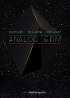 Analog EDM Electronica / EDM Loops