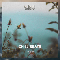 Chill Beats Vol.1 product image