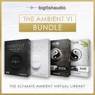 The Ambient VI Bundle product image