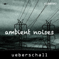 Ambient Noises product image