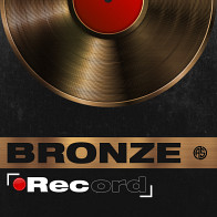 Bronze Record product image