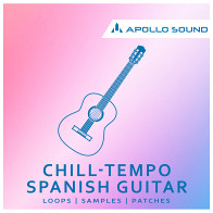 Chill-Tempo Spanish Guitar product image