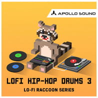 LoFi Hip Hop Drums 3 product image