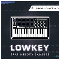 Lowkey Trap Melody Samples product image
