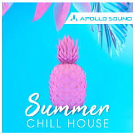 Summer Chill House product image