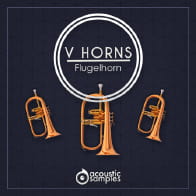 VHorns Flugelhorn product image