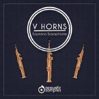 VHorns Soprano Saxophone product image