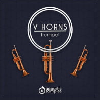 VHorns Trumpet product image