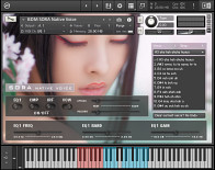 Native Voice Sora product image