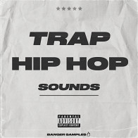 Trap & Hip Hop Sounds product image