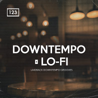 Downtempo and Lo-Fi product image