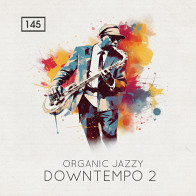 Organic Jazzy Downtempo 2 product image