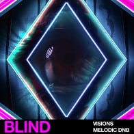 Visions - Melodic DNB product image