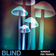 Somnus - Psy Trance
 product image