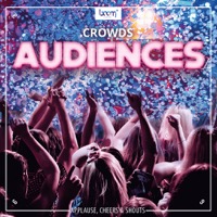 Crowds - Audiences Sound FX