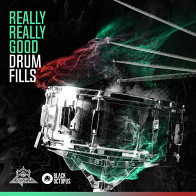 Really Really Good Drum Fills product image