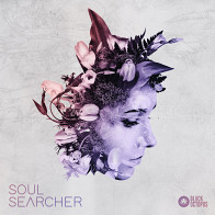 SOUL SEARCHER product image