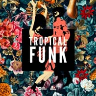 Tropical Funk by Basement Freaks product image