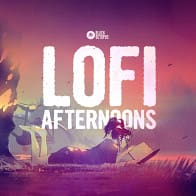 Lofi Afternoons product image