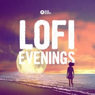 LoFi Evenings product image