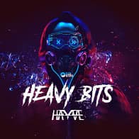 Hayve - Heavy Bits product image