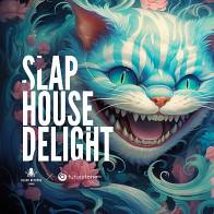 Futuretone - Slap House Delight product image