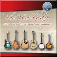 Chris Hein Guitars product image