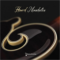 Hoard Mandolin product image