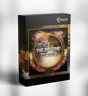 The Big One: Techno product image