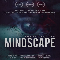 Mindscape product image