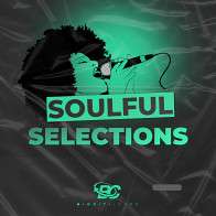 Soulful Selections product image