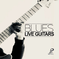 Blues Live Guitars product image