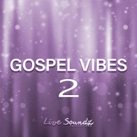 Gospel Vibes 2 product image