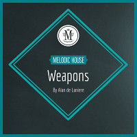 Melodic House Weapons product image