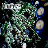 HumBuzz product image