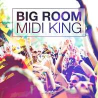 Big Room MIDI King product image