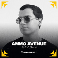 Deeperfect Artist Series - Ammo Avenue product image