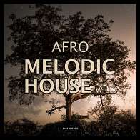 Afro Melodic Wild product image
