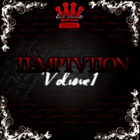 Temptation Vol.1 product image