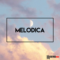 Melodica product image