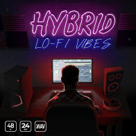 Hybrid Lo-Fi Vibes product image