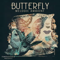 Butterfly: Melodic Ambient product image
