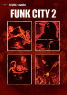 Funk City 2 product image