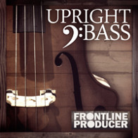 Upright Bass product image