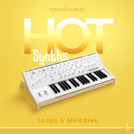 Hot Synths - Loops & Melodies product image