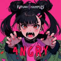 Angry - Melodic Trap product image