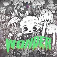 Wonder - Melodic Trap product image