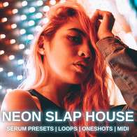 Neon Slap House product image