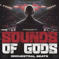 Sounds Of God - Orchestral product image