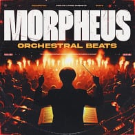 Morpheus - Orchestral product image